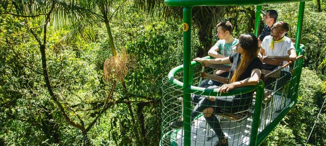 Biglietti per il parco Rainforest Atlantic