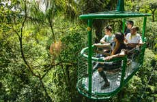 Rainforest Atlantic Adventure Park Visit