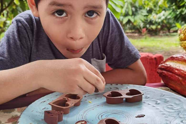 Degustación de chocolate  - Degustación de chocolate 