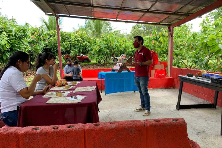 Explicaciones durante el tour  - Explicaciones durante el tour 