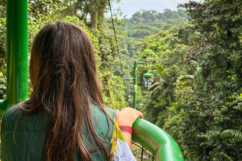 Imagen 5