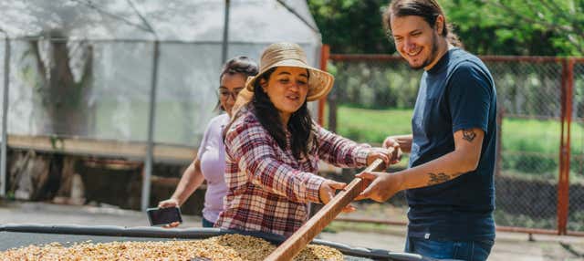 Tour del caffè alla tenuta Britt