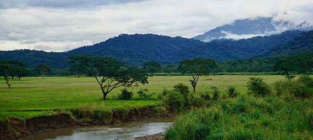 Escursione al Parco Nazionale Carara