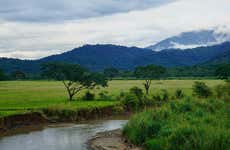 Carara National Park Tour