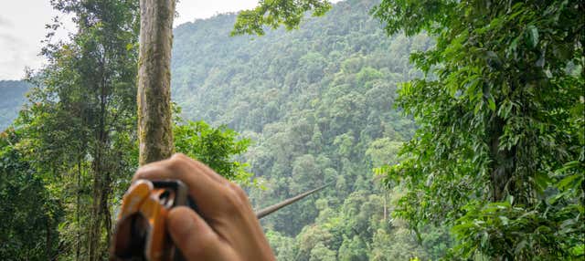 Zip line sulla foresta tropicale