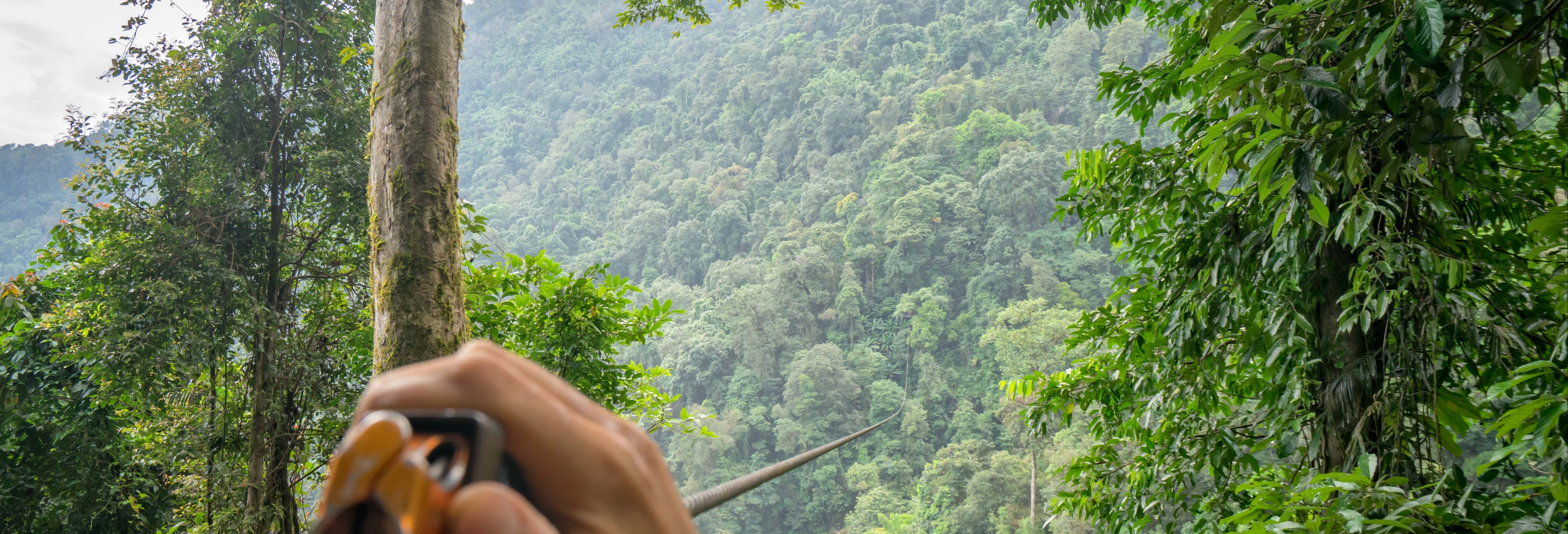 Zip line sulla foresta tropicale