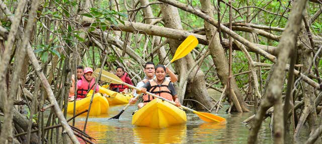 Tour di Isla Damas in kayak
