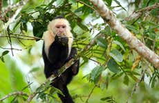 Caño Negro Wildlife Refuge Excursion