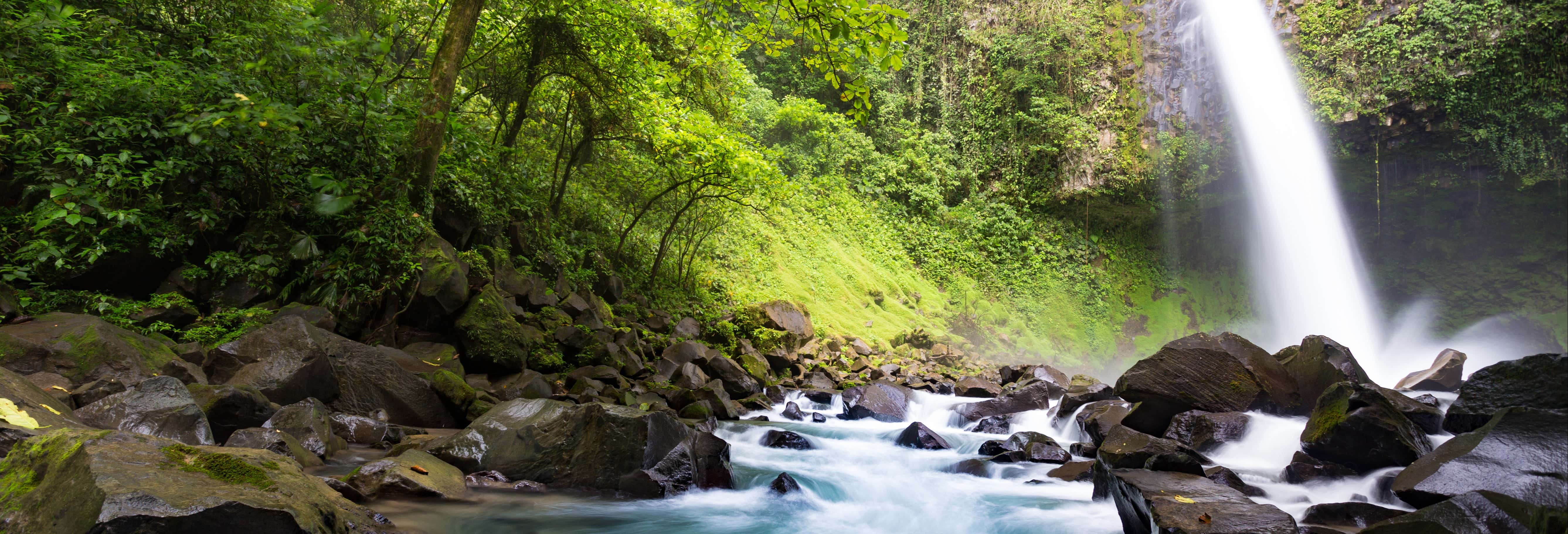 Escursione alla cascata Río Fortuna