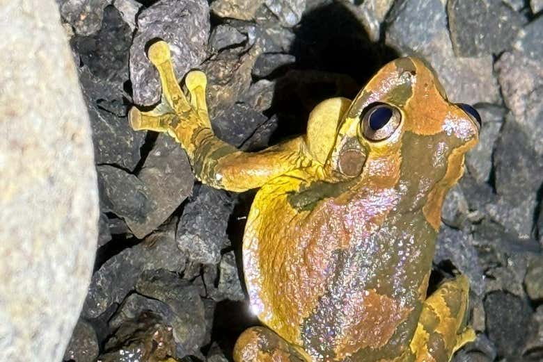 Imagen 6