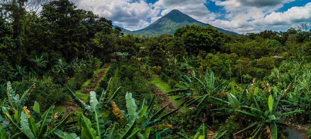 Tour del caffè e del cioccolato