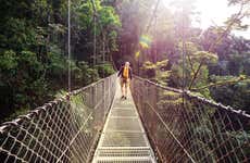 Arenal Hanging Bridges Tour