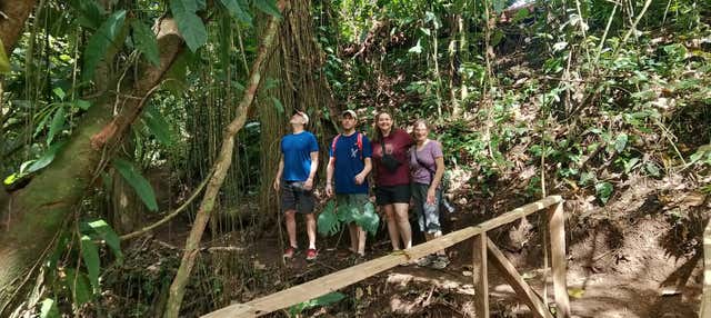 Visita alla tenuta DreamTree XP