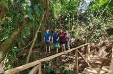 Visita à fazenda DreamTree XP