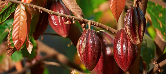 Visita a un'azienda agricola