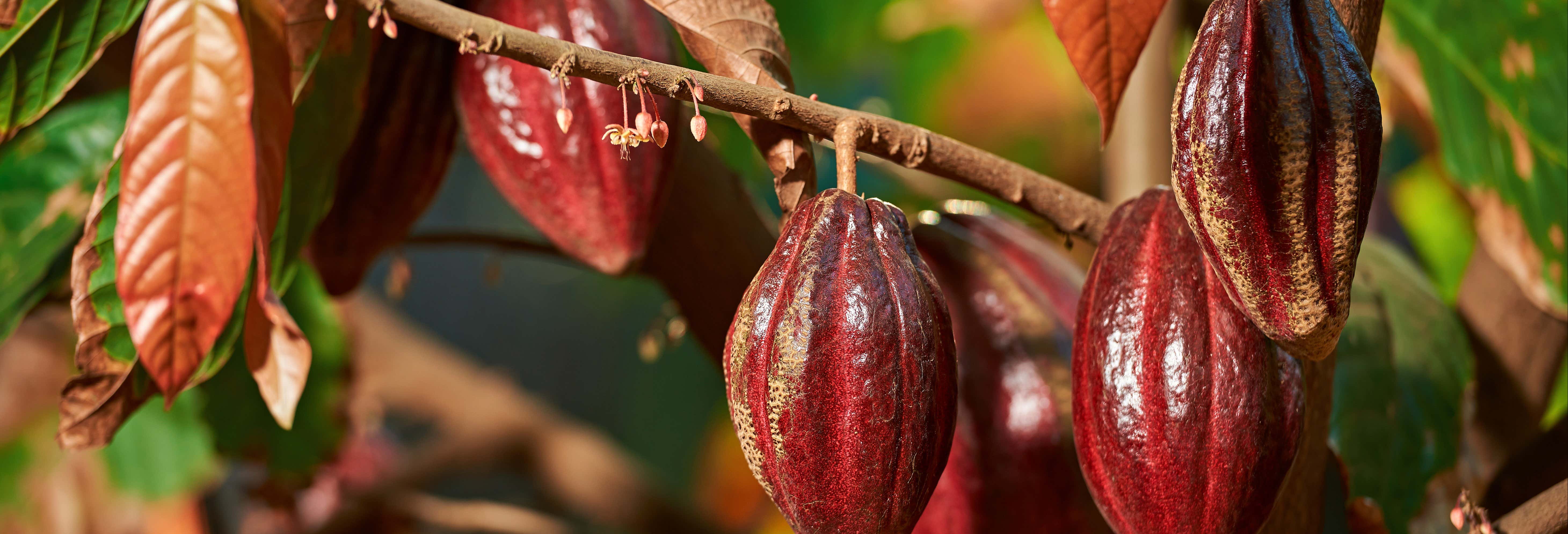 Visita a un'azienda agricola