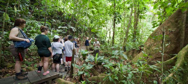 Tour del Parco Nazionale Cahuita per crocieristi