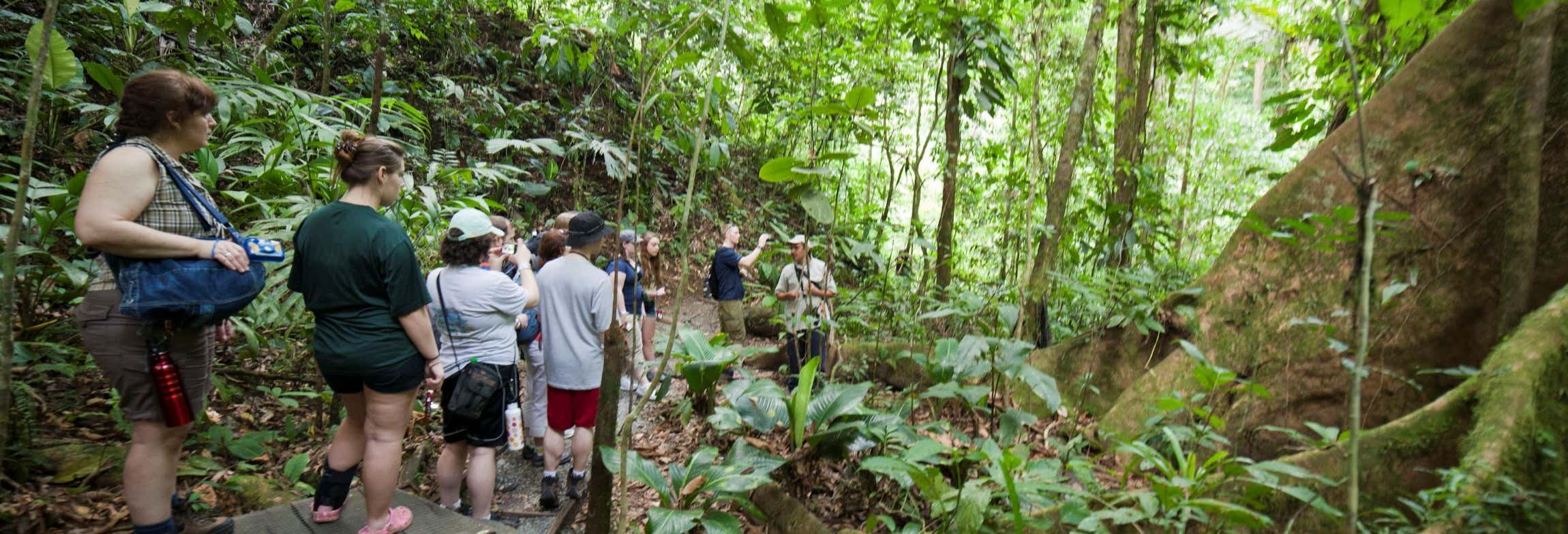 Tour del Parco Nazionale Cahuita per crocieristi