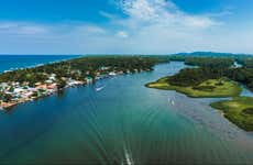 Tortuguero National Park Tour for Cruise Ships