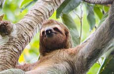 Manuel Antonio National Park Guided Tour