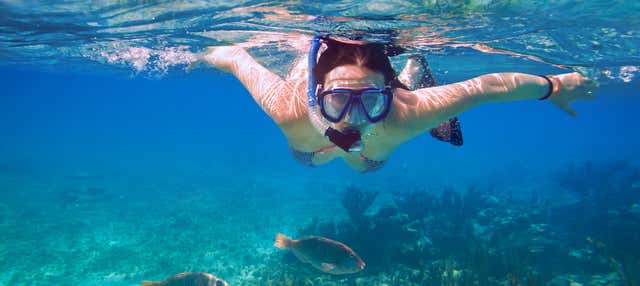 Kayak e snorkeling nella baia di Biesanz