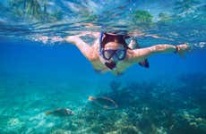 Kayaking & Snorkeling in Biesanz Bay