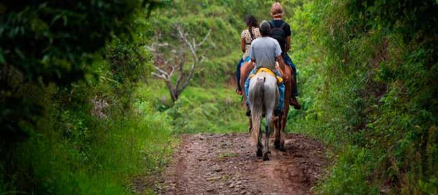 Giro a cavallo alle cascate Tocorí