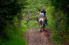 Tocori Waterfalls Horseback Ride