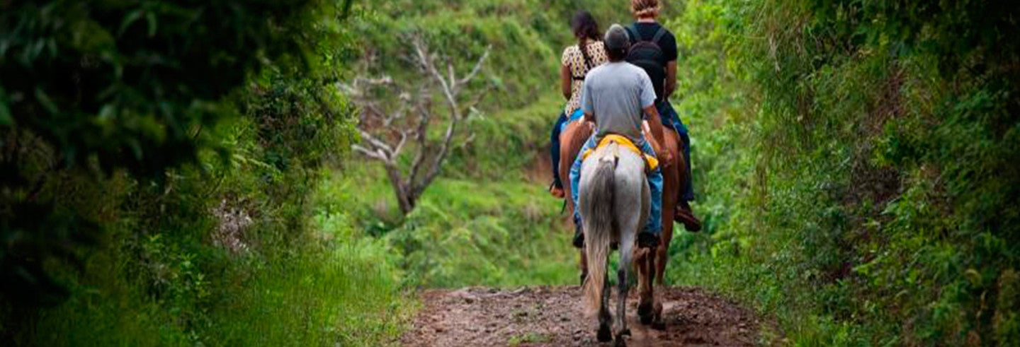 Tocori Waterfalls Horseback Ride