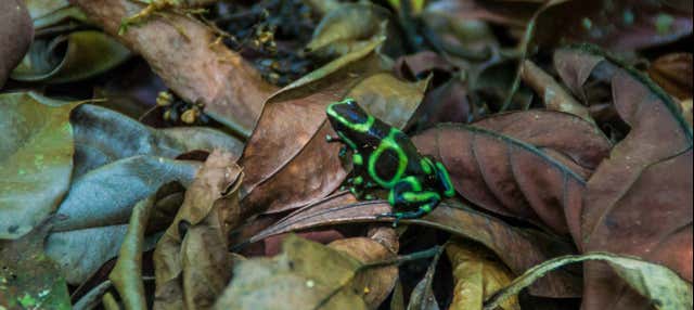Trekking serale alla riserva naturale di Manuel Antonio