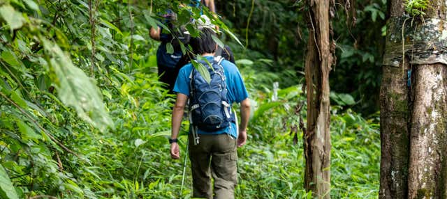 Trekking nella riserva Rainmaker