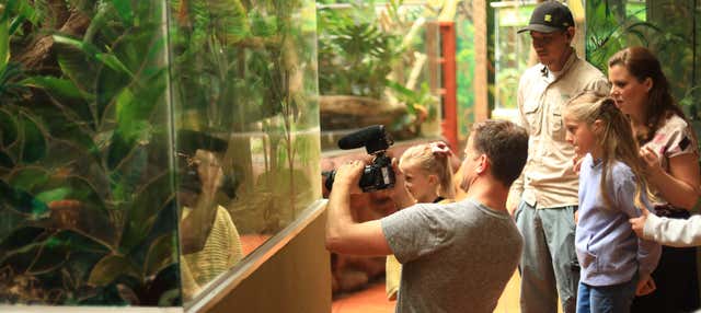 Visita all'erpetario di Selvatura Park