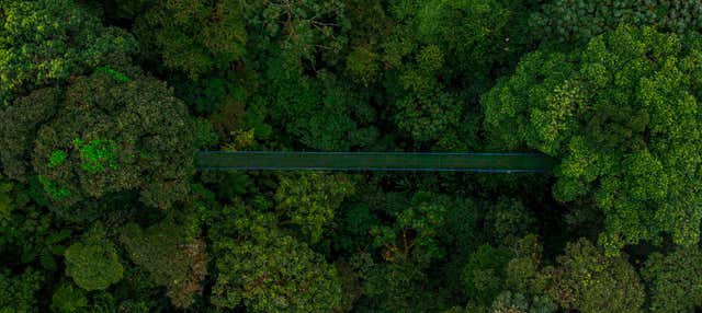 Ponti sospesi di Selvatura Park
