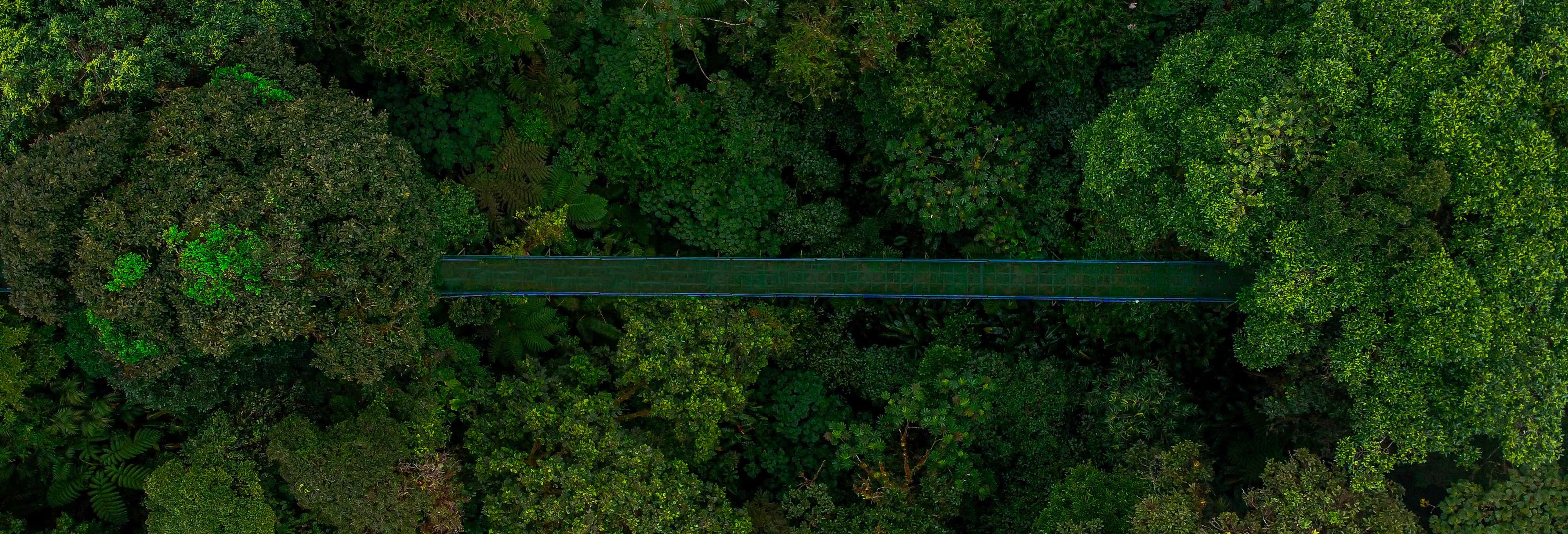 Ponti sospesi di Selvatura Park