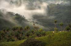 Hiking in Monteverde Cloud Forest Reserve