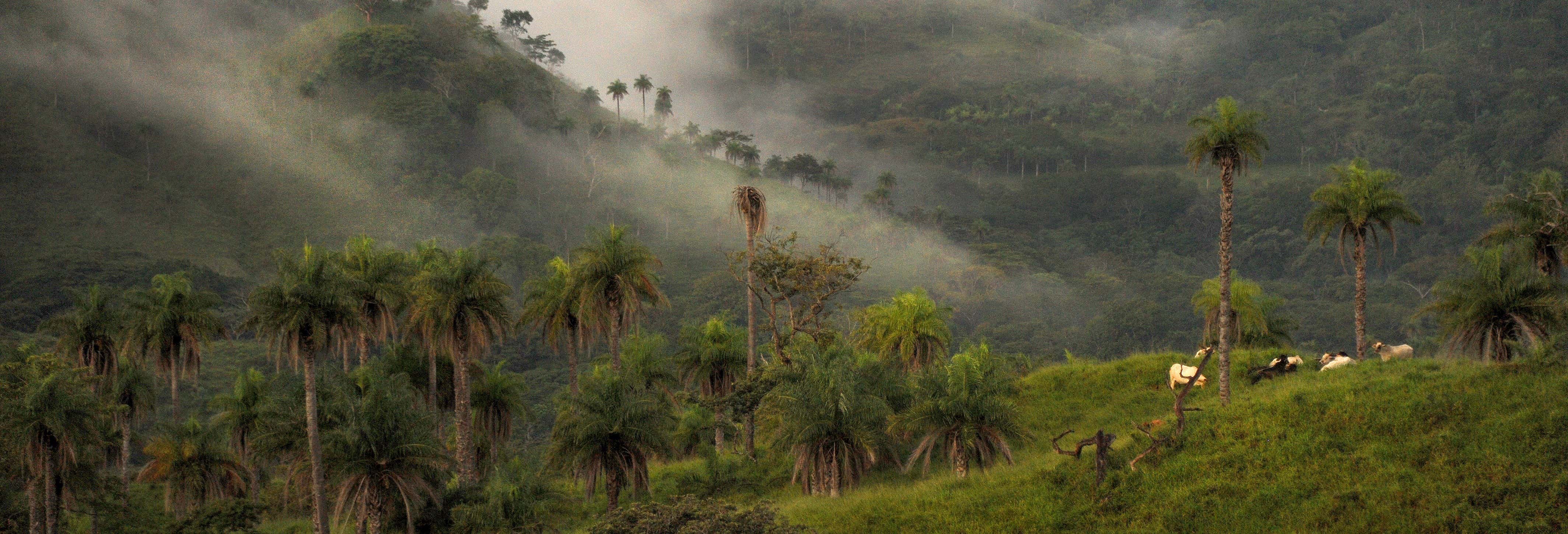 Trekking nella Foresta Nebulosa di Monteverde
