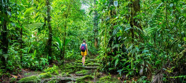 Trekking all'Enigma de la Semilla