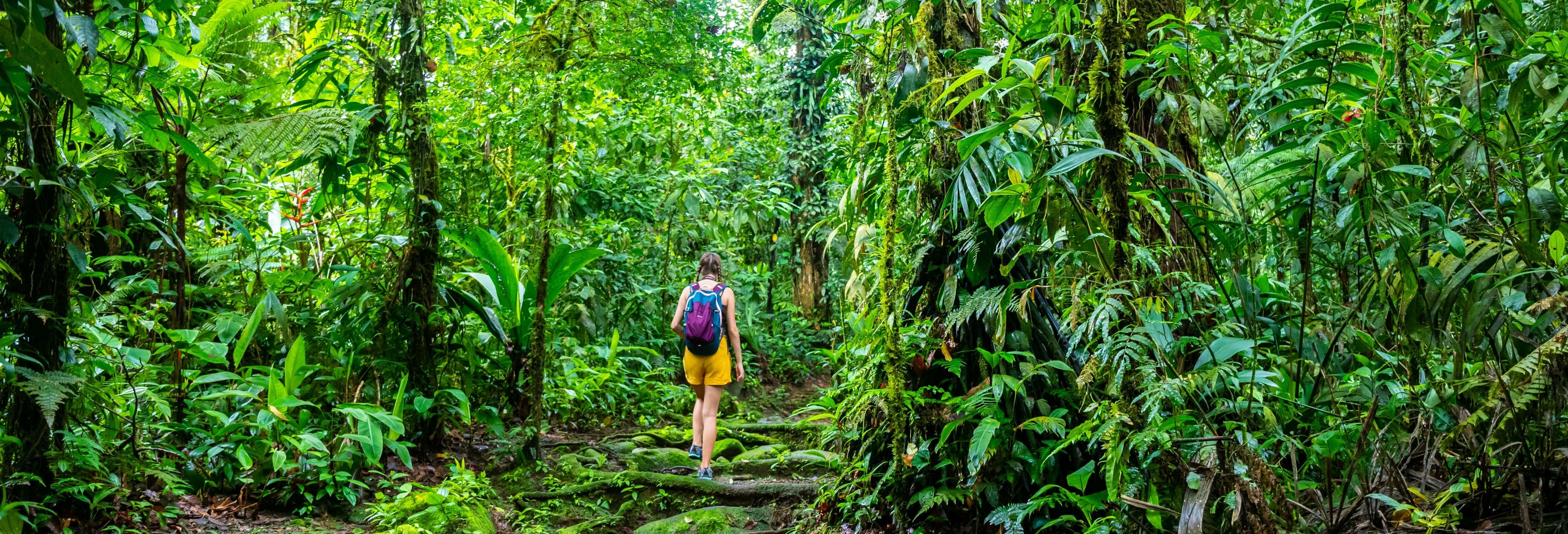 Trekking all'Enigma de la Semilla