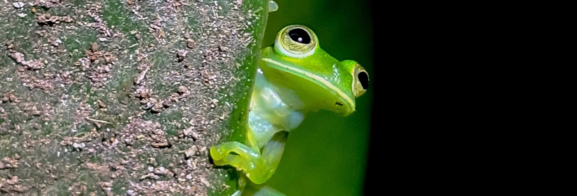 Trekking serale a Oktari Monteverde