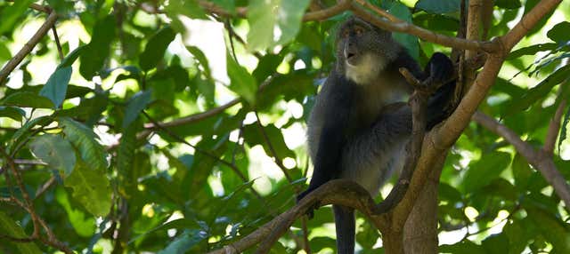 Trekking nella Riserva Curi Cancha