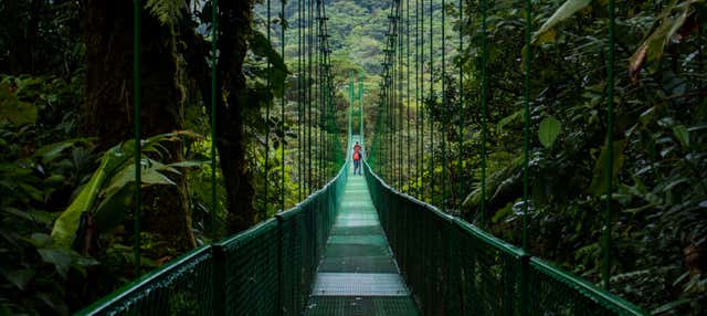 Tour dei ponti sospesi della foresta nebulosa di Monteverde