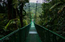 Monteverde Cloud Forest Suspension Bridges Tour