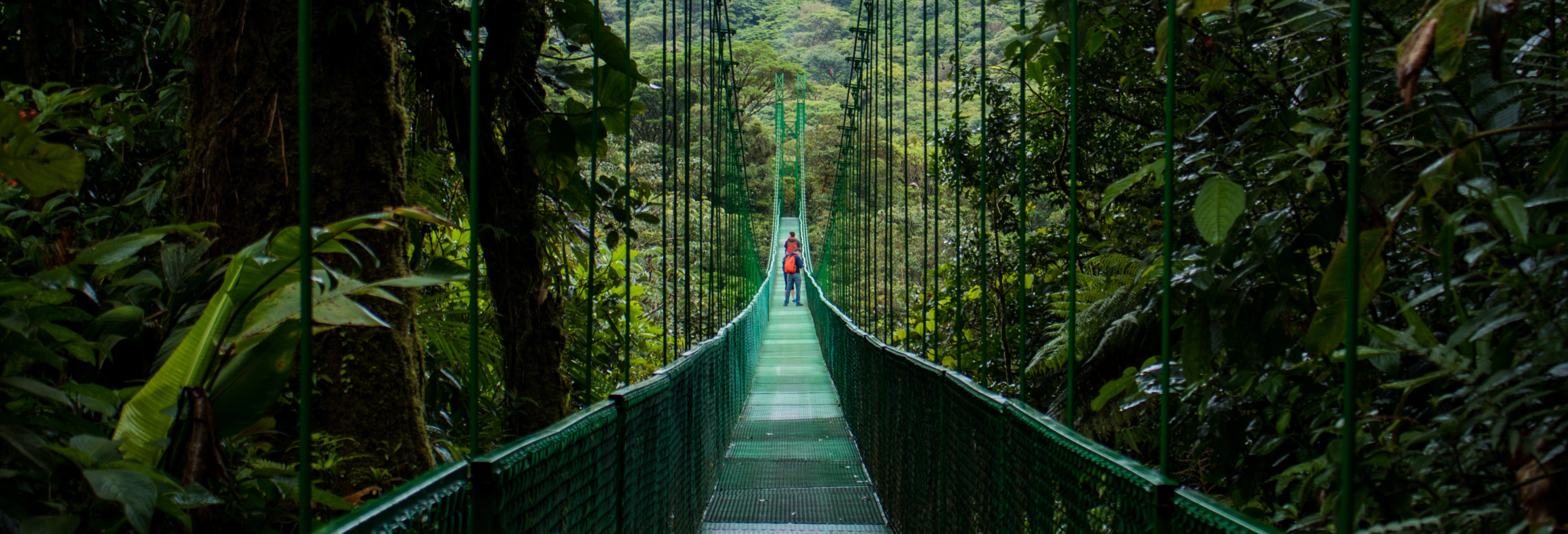 Selvatura Park Monteverde Tour