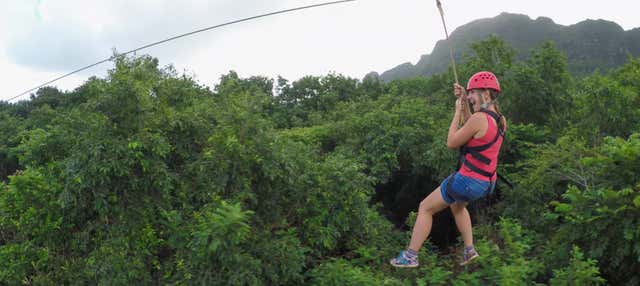 Zip line e discesa in corda doppia nel Puerto Viejo di Limón