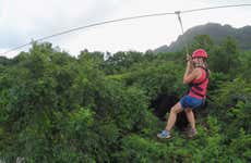 Zipline + Abseiling in Puerto Viejo de Limón