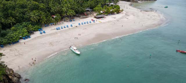 Escursione a Isla Tortuga per crociere