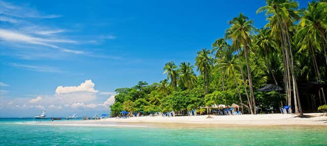 Tortuga Island Day Trip + Snorkeling