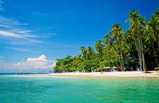 Tortuga Island Day Trip + Snorkeling