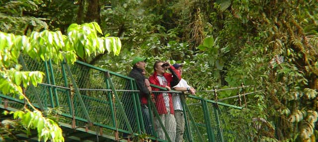 Tour della Riserva Naturale Villa Lapas e del fiume Tárcoles per croceristi