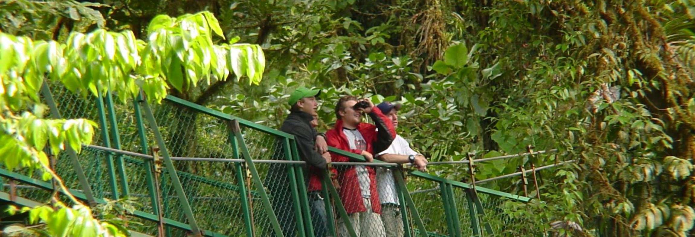 Tour della Riserva Naturale Villa Lapas e del fiume Tárcoles per croceristi